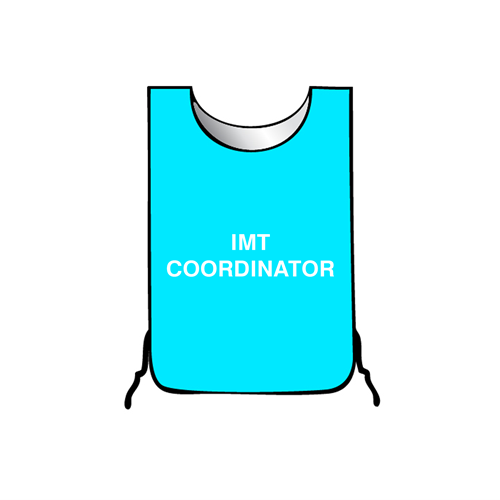 IMT COORDINATOR Tabard (large)