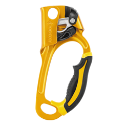 Petzl Ascension - Yellow Right Handed