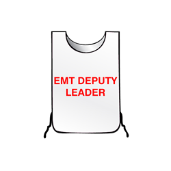 EMT DEPUTY LEADER Tabard (large)
