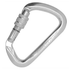 Big-D Alloy Screw Gate Karabiner